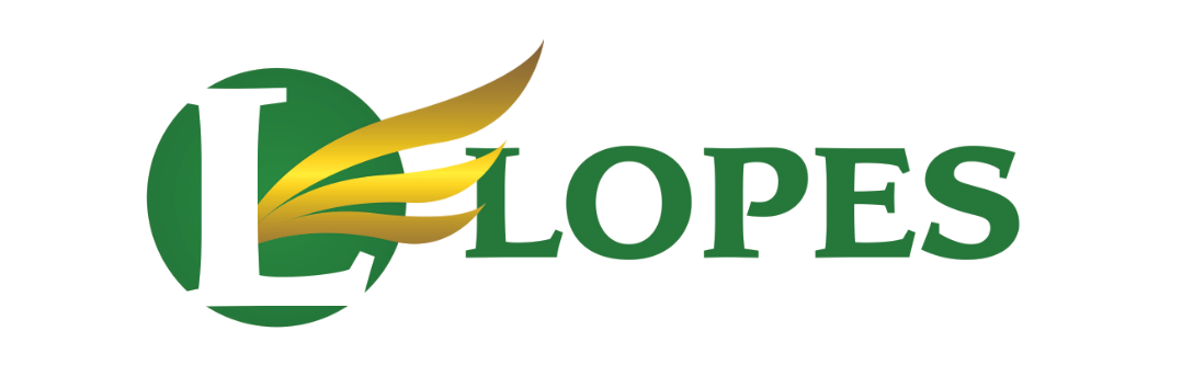 Lopes Contabilidade